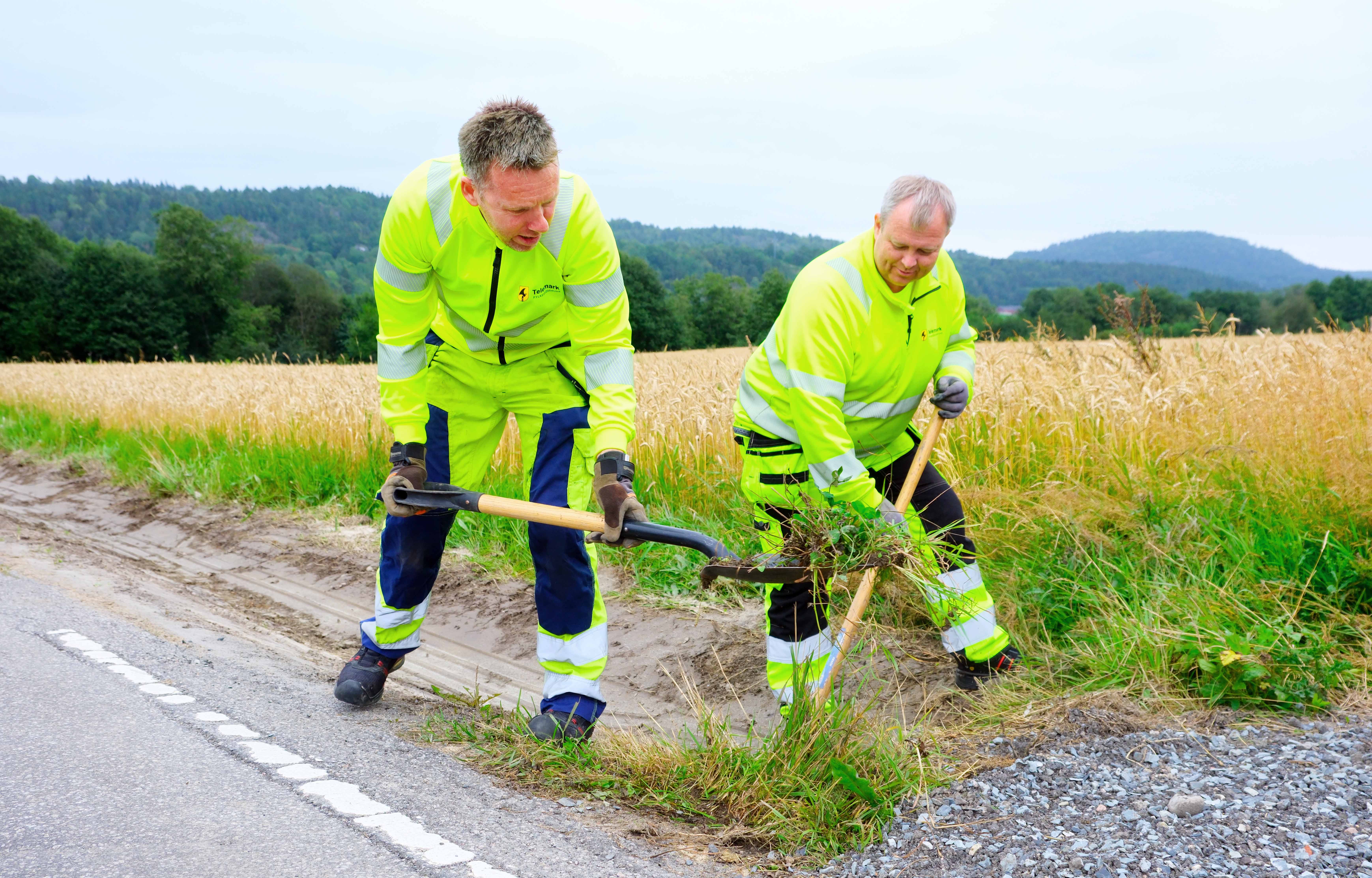 To menn midt i bildet, står bøyd over grøft, holder i spade. Kornåker bakenfor.