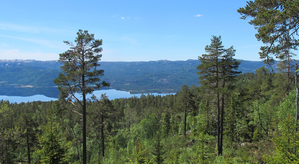 utsikt over innsjøen Nisser