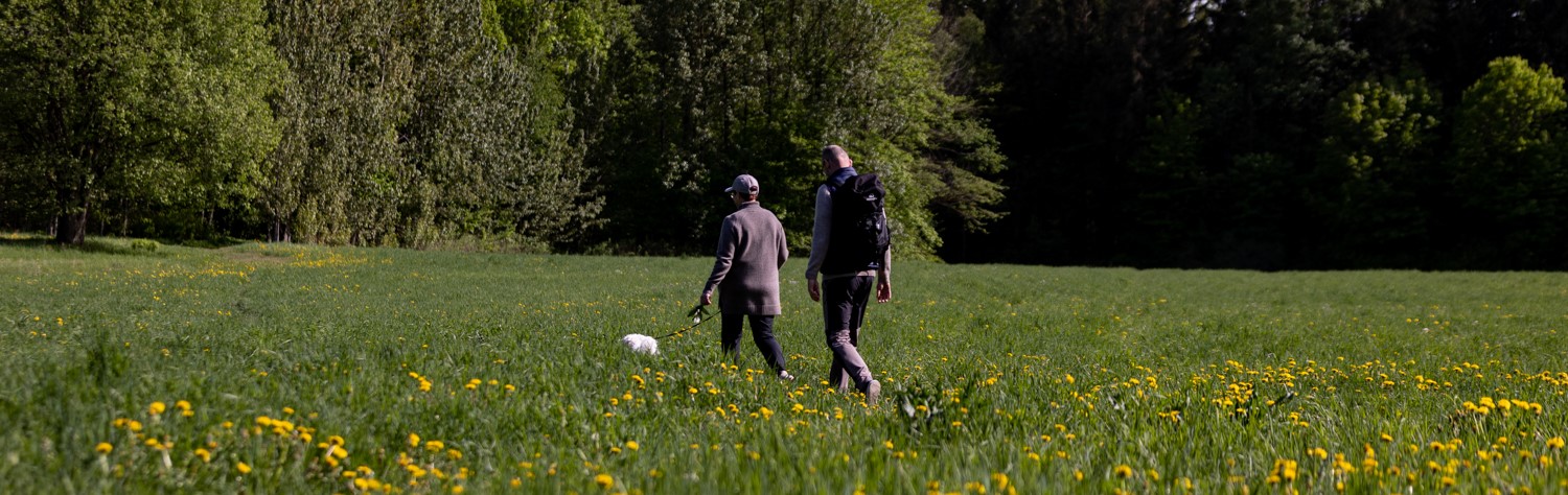 Et par går på tur med hunden i en grønn eng.