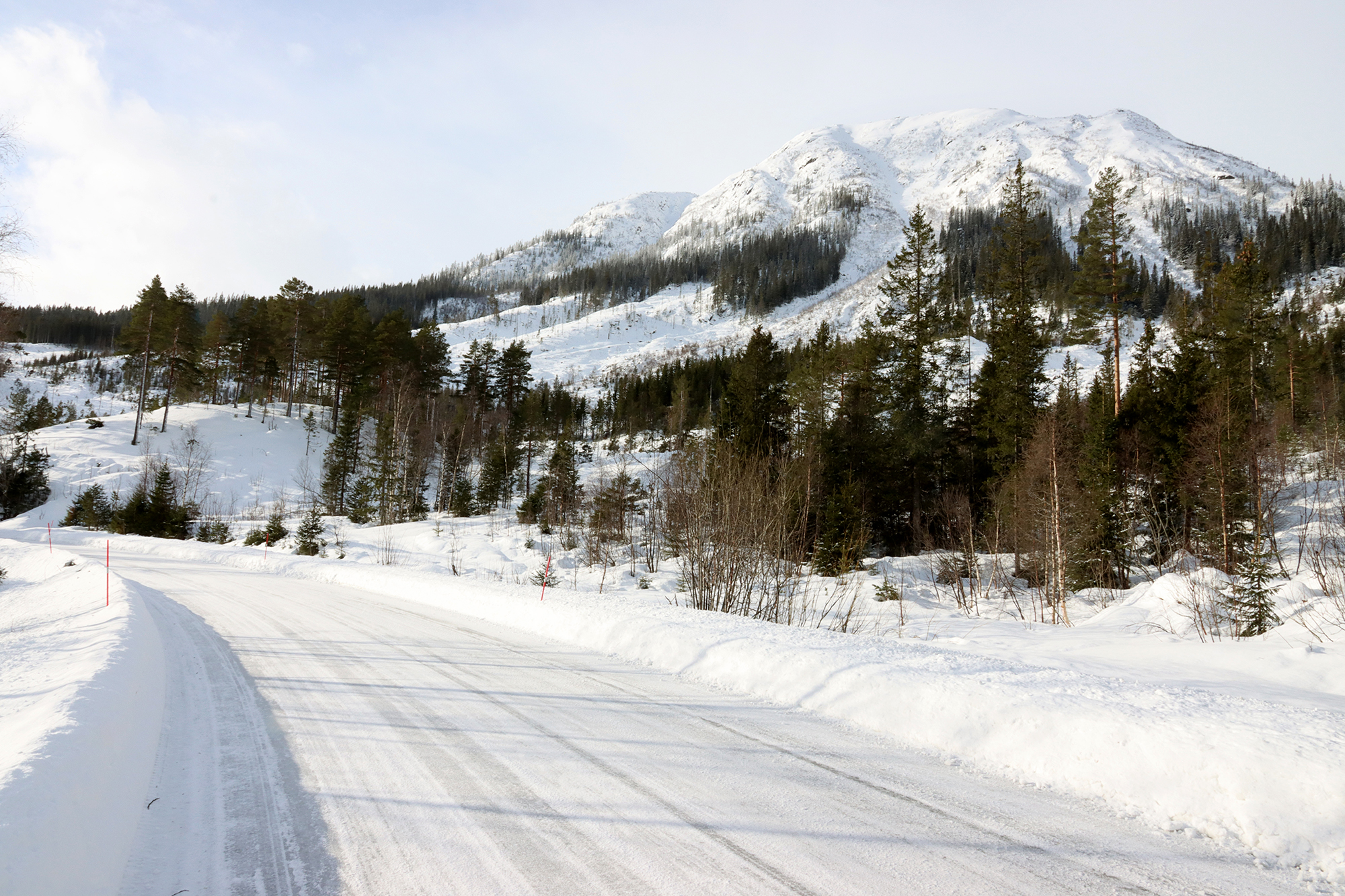 Vei forsvinner innover i bildet fra høyre mot venstre, Skogområde og snødekt fjell i bakgrunnen.