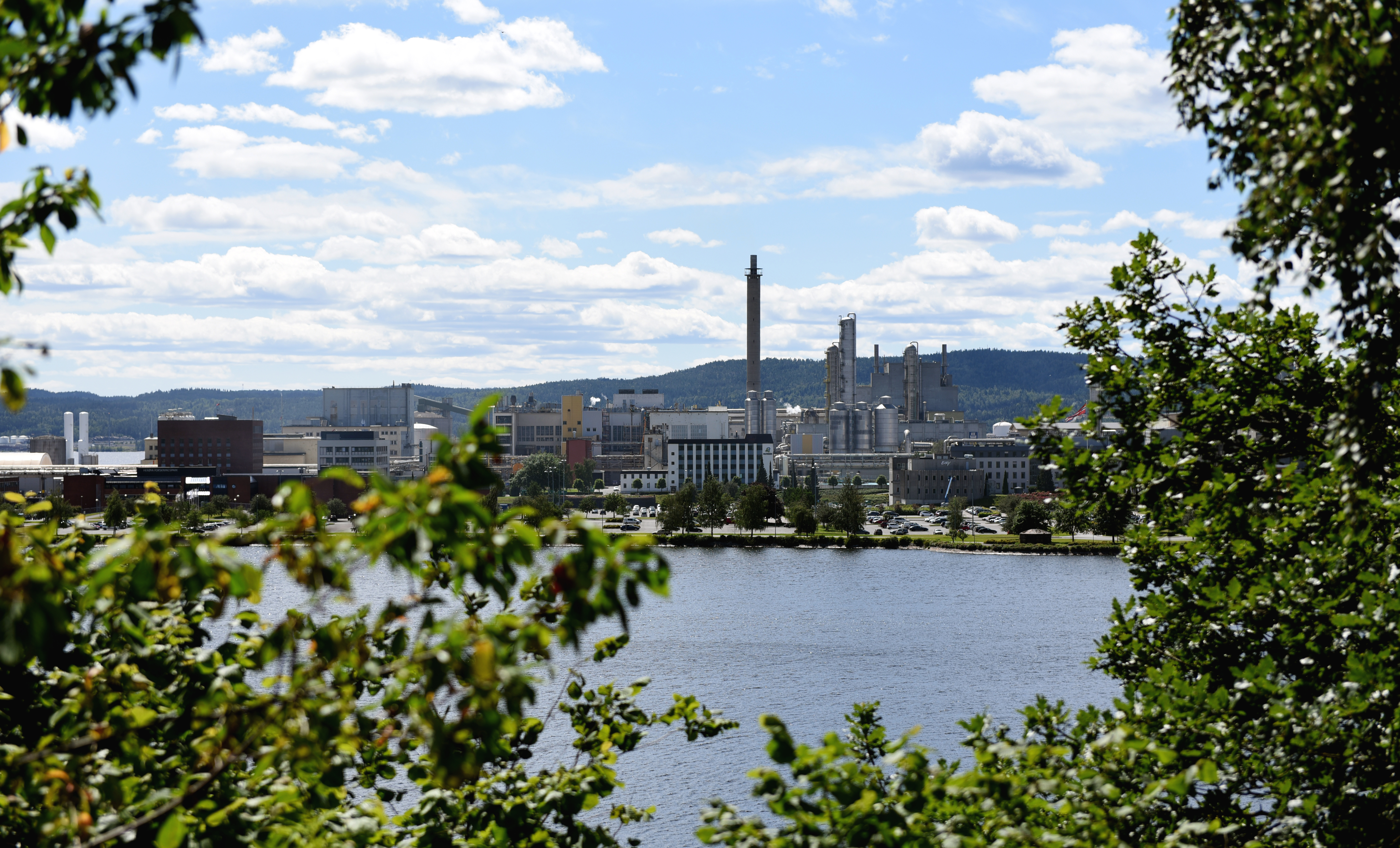 Ser gjennom trærne over vannet mot Herøya industripark hvor det er mange industribygg