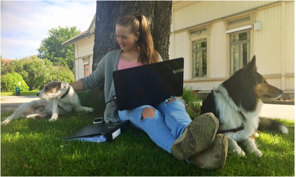 En jente sitter på gresset under et tre sammen med to hunder og med Pc på fanget