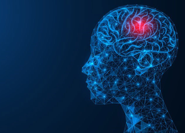 Digitalt bilde av et hode i blått, med rødt lys som indikerer hjernen