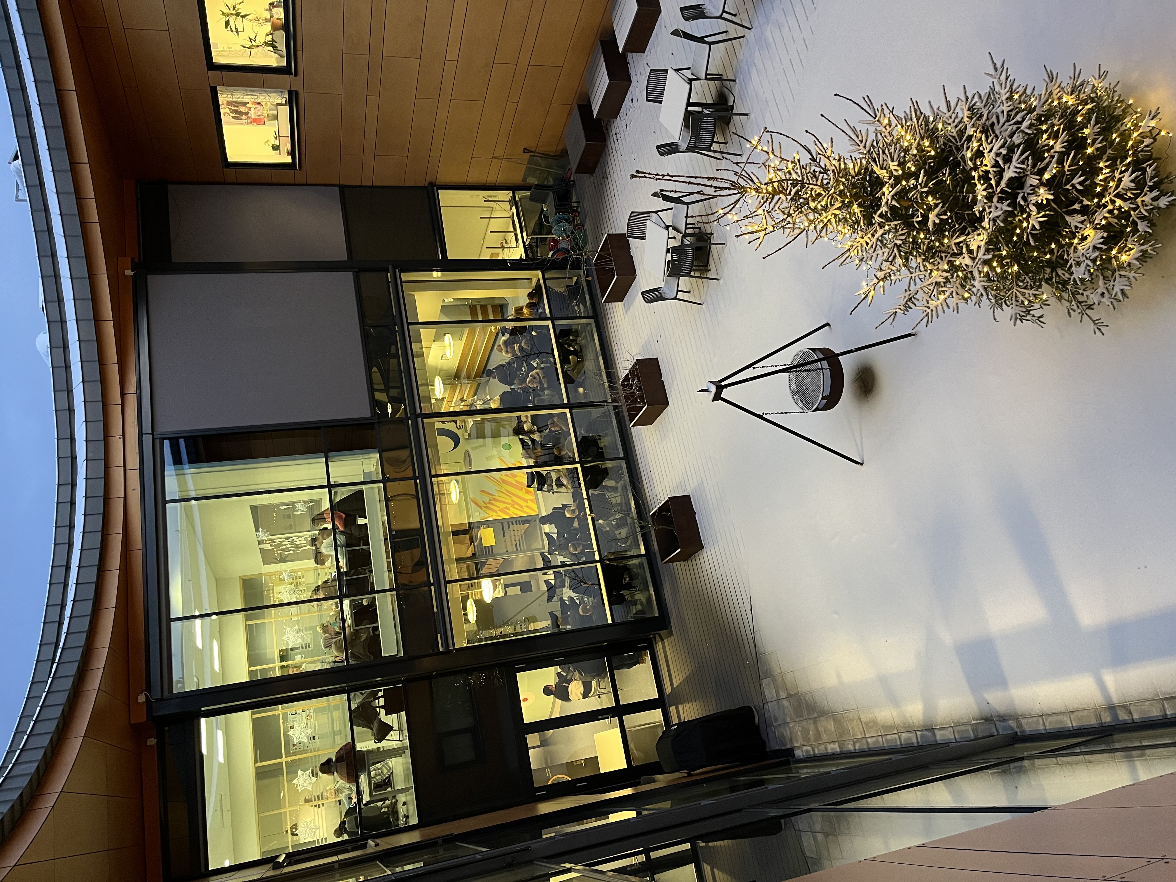 skolens atrium med juletre og nysnø